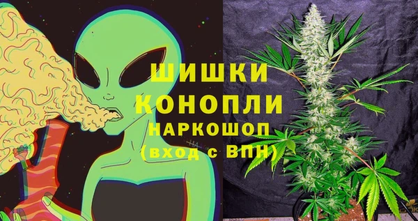 ECSTASY Белокуриха
