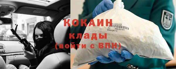 ECSTASY Белокуриха