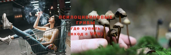 ECSTASY Белокуриха