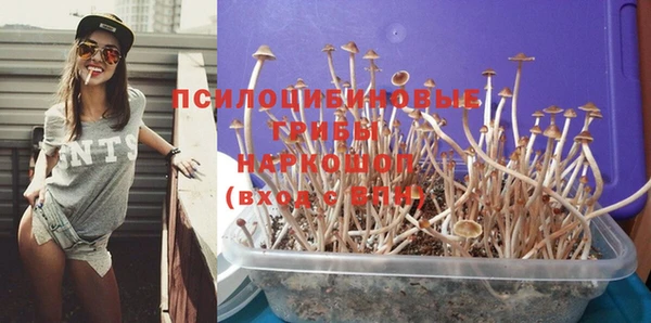 ECSTASY Белокуриха