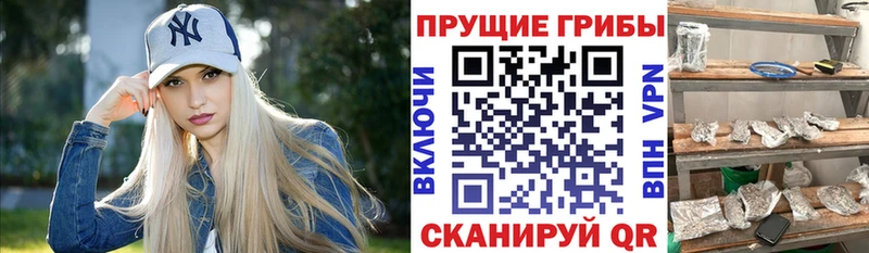 Галлюциногенные грибы мицелий Купить где Выборг